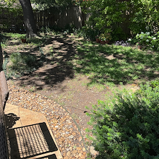 Shaded-Backyard-Solution-with-Pet-Friendly-Artificial-Turf-in-Garland-TX 7
